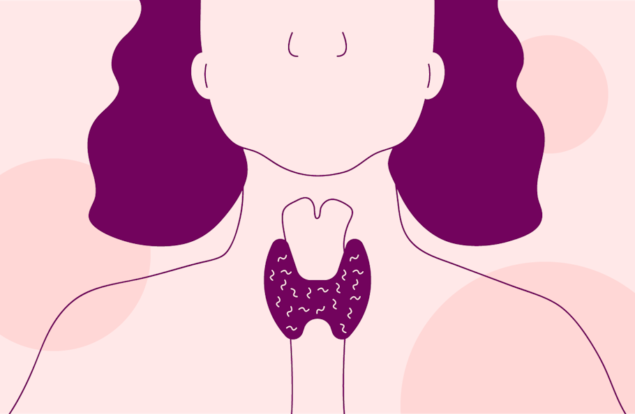 Illustration of woman showing the thyroid gland and hypothyroidism/under active thyroid