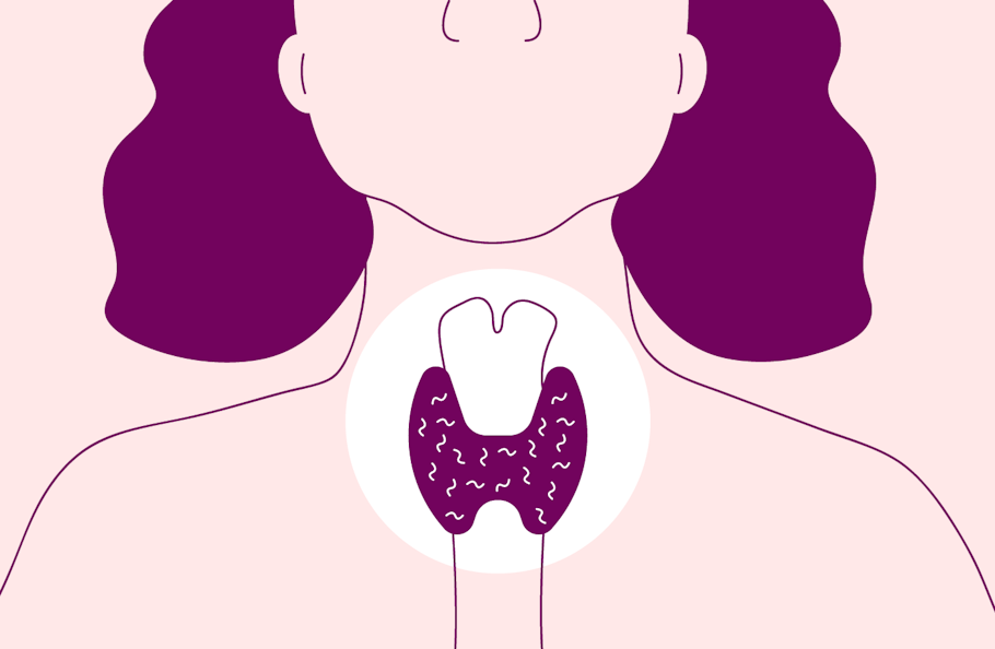 Illustration of the head and shoulders of a woman showing where the thyroid gland is in the centre of the throat