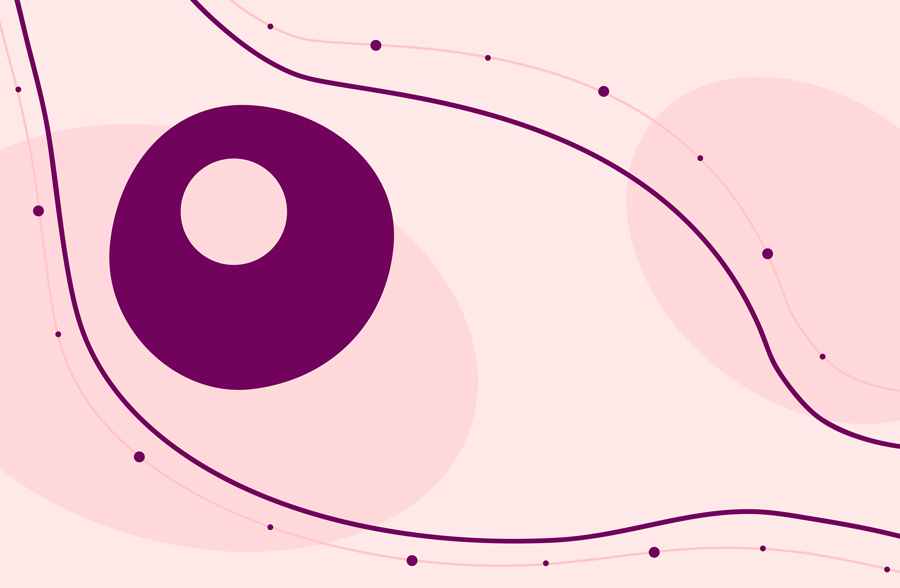 Señales de la ovulación: un ovario libera un óvulo