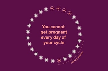 以圆形插图表示月经周期的受孕窗口，突出怀孕窗口