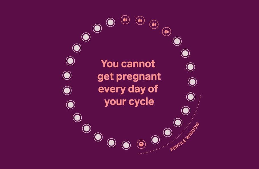 Illustration of the menstrual cycle with the text : you cannot get pregnant every day of your cycle
