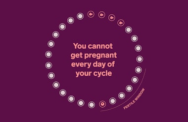 What Is The Fertile Window When Am I Fertile Natural Cycles What Is The Fertile Window When Am I Fertile Natural Cycles