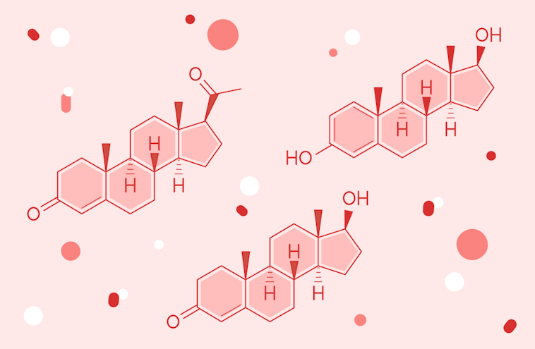 Sex hormones: estrogen, progesterone and testosterone