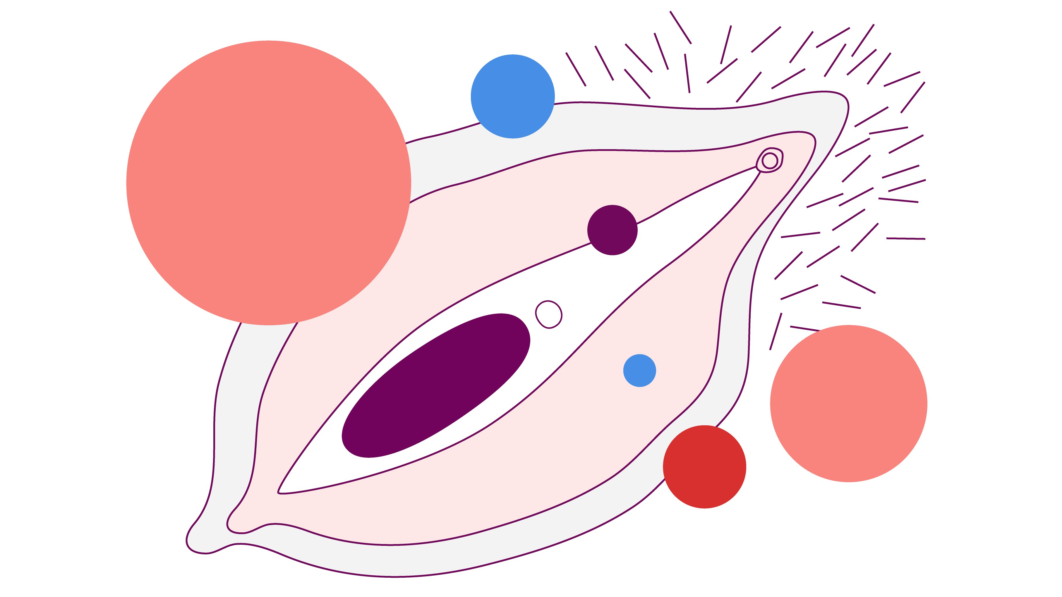 Illustration of a vulva surrounded by colorful circles