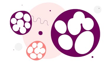 illustration of colored circles representing fibroids