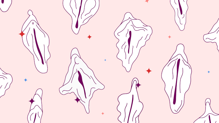 labios-vaginales