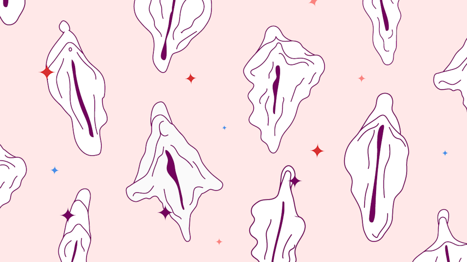Labia illustration showing different types of vulvas on a pink and sparkling background