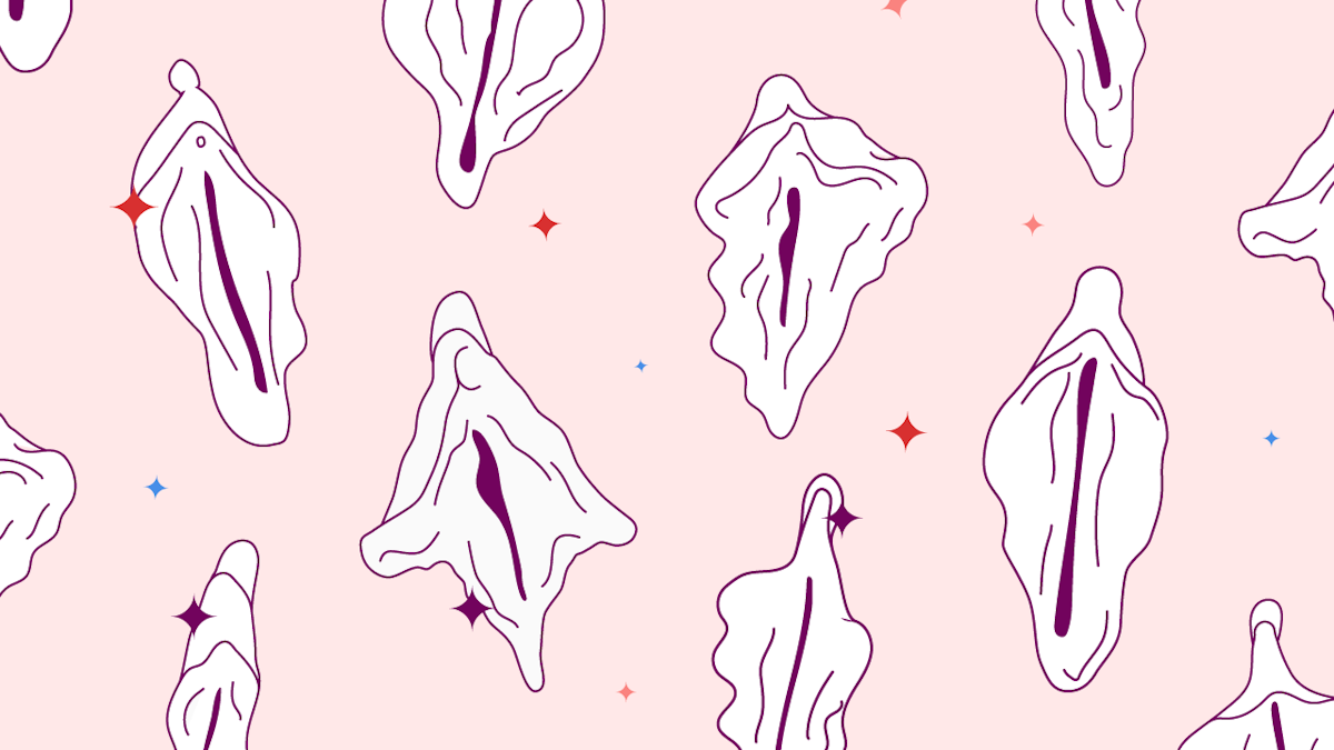 Vigina Labia: 9 Types of Vagina Shapes, Colors, and Sizes