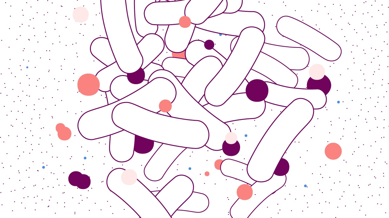 Illustration of bacteria that causes UTIs