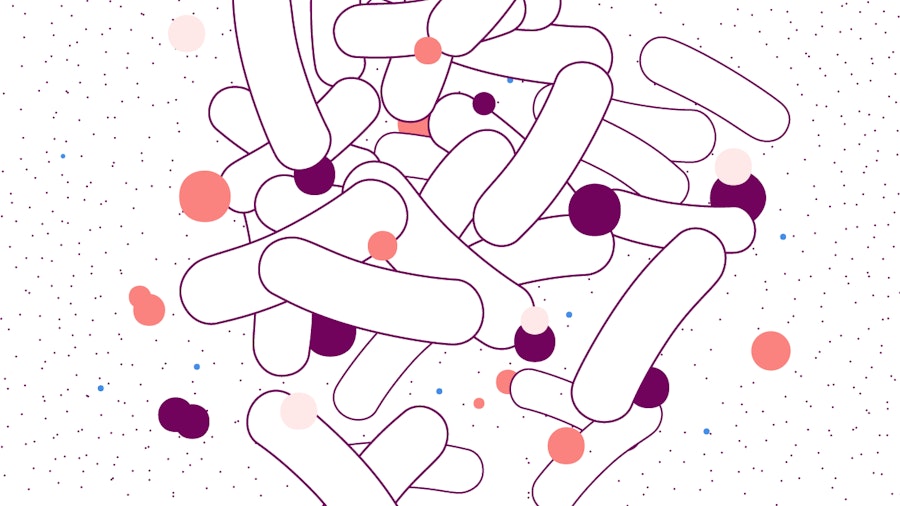 Illustration of bacteria that causes UTIs