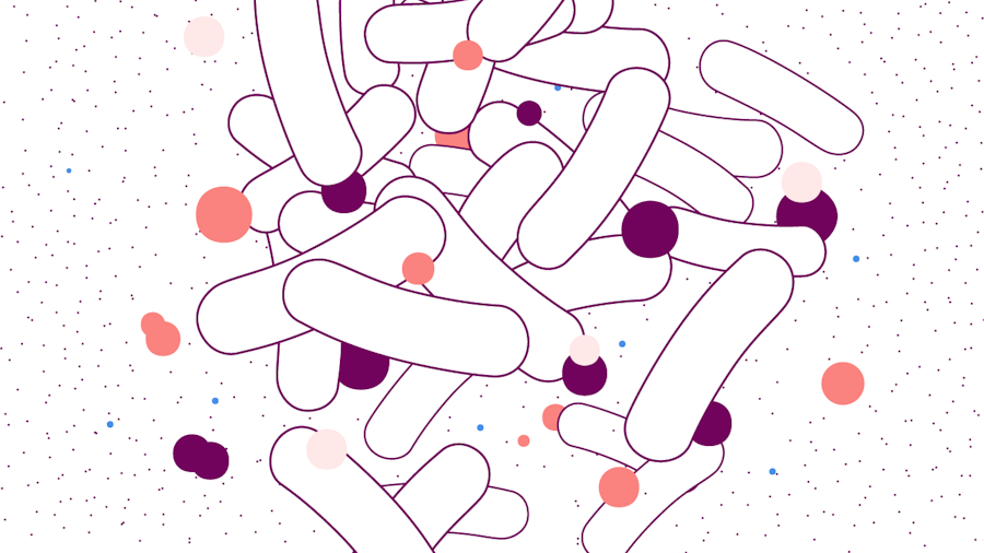 Illustration of bacteria that causes UTIs