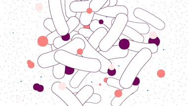 Illustration of bacteria that causes UTIs