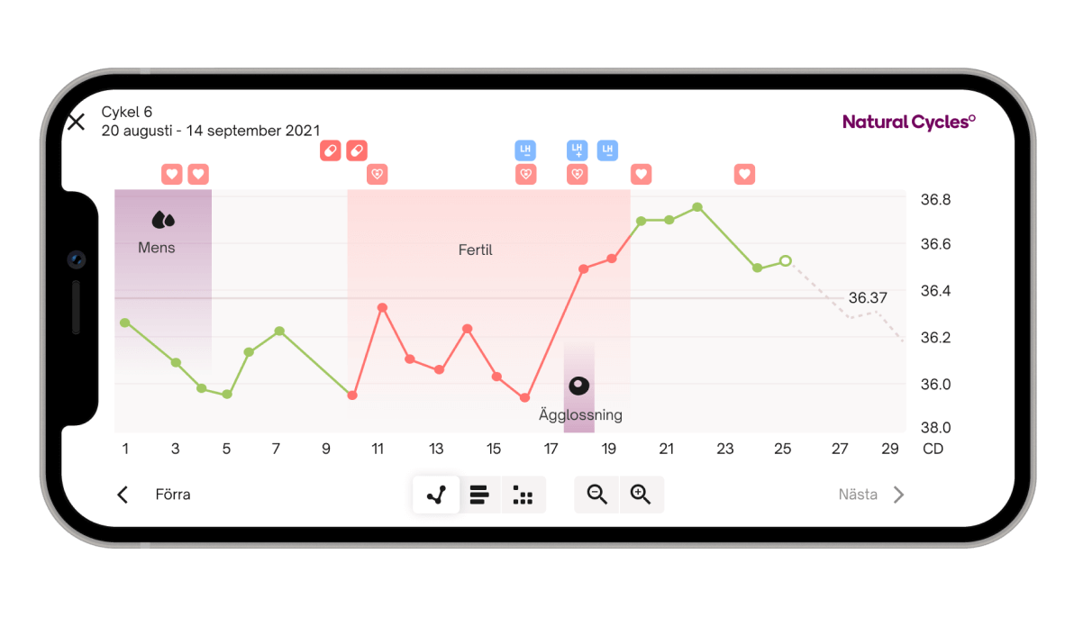 Natural Cycles appen visar en graf av en cykels temperaraturdata med ägglossningen markerad