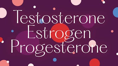 Testosterone, estrogen and progesterone written on a purple background with coloured cirlces