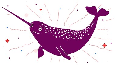 Illustration of a narwhal