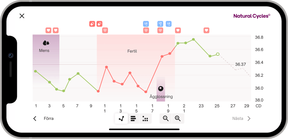 NC Graph