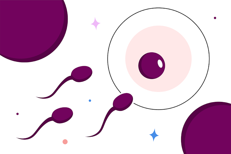 illustration of sperm cells swimming towards egg cell