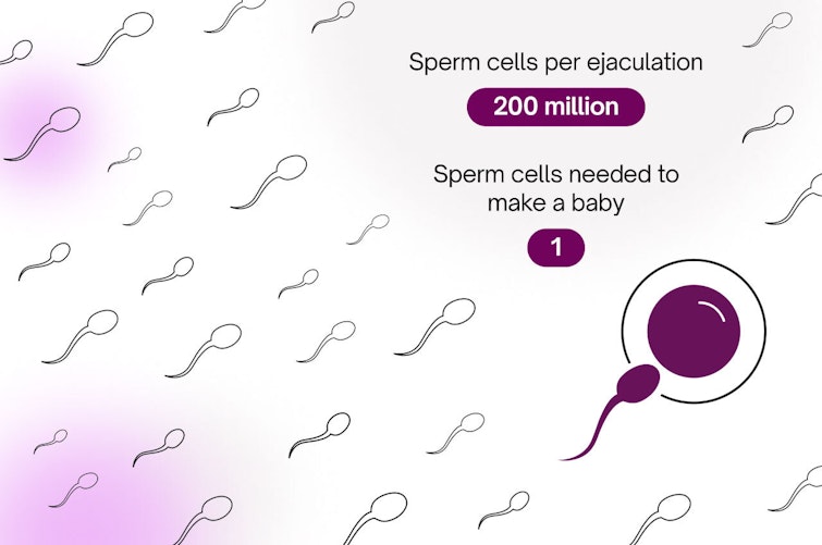 Illustration of sperm cells swimming towards egg cell