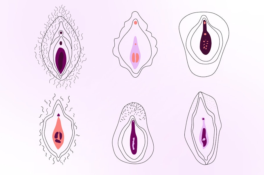 Illustration of 6 different hymens