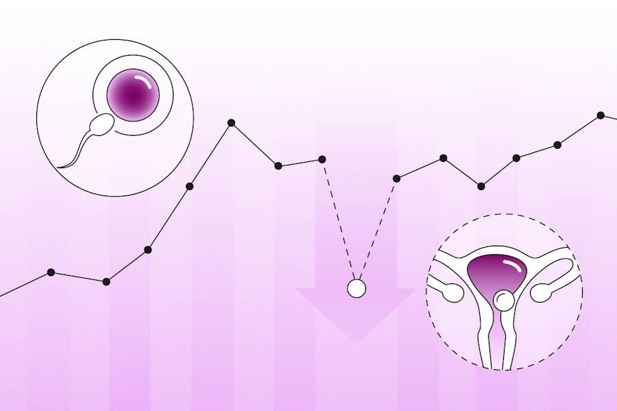Illustration of implantation dip with temperature changes and egg cell implanting in uterus