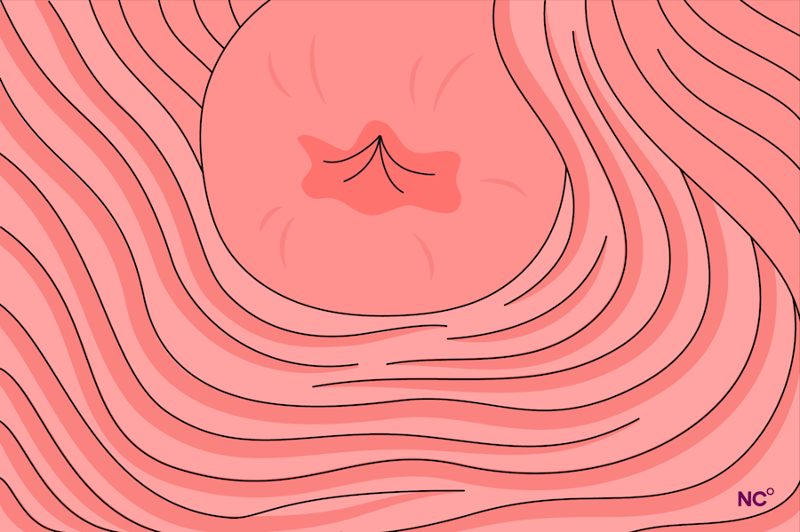 Illustration of a healthy cervix