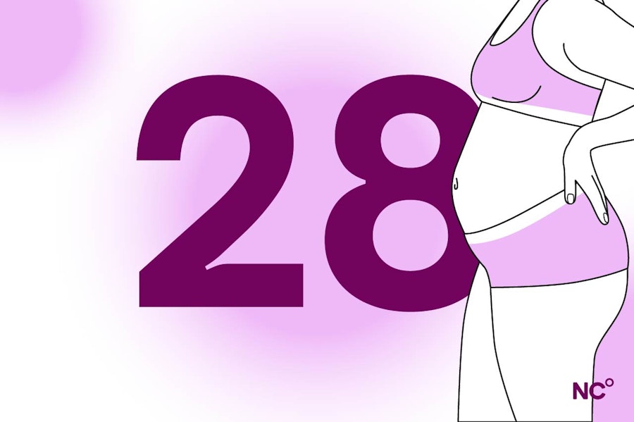 Illustration of a person with a baby bump standing next to a number 28