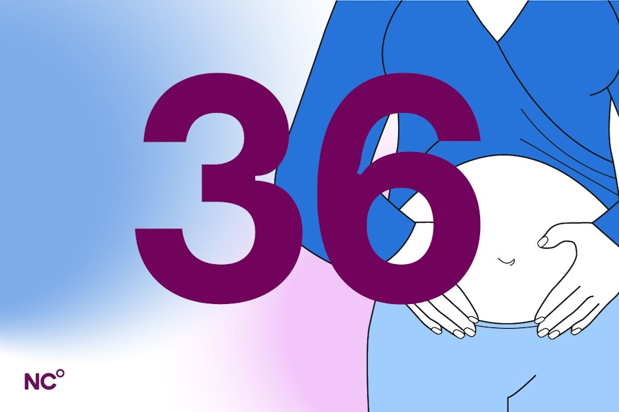 Illustration showing pregnant belly and number 36