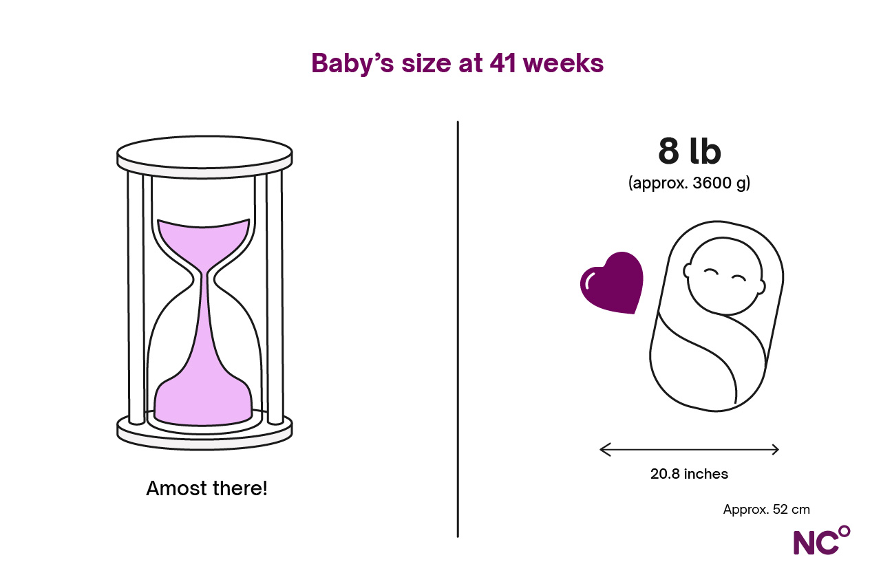 Baby's development at 41 weeks