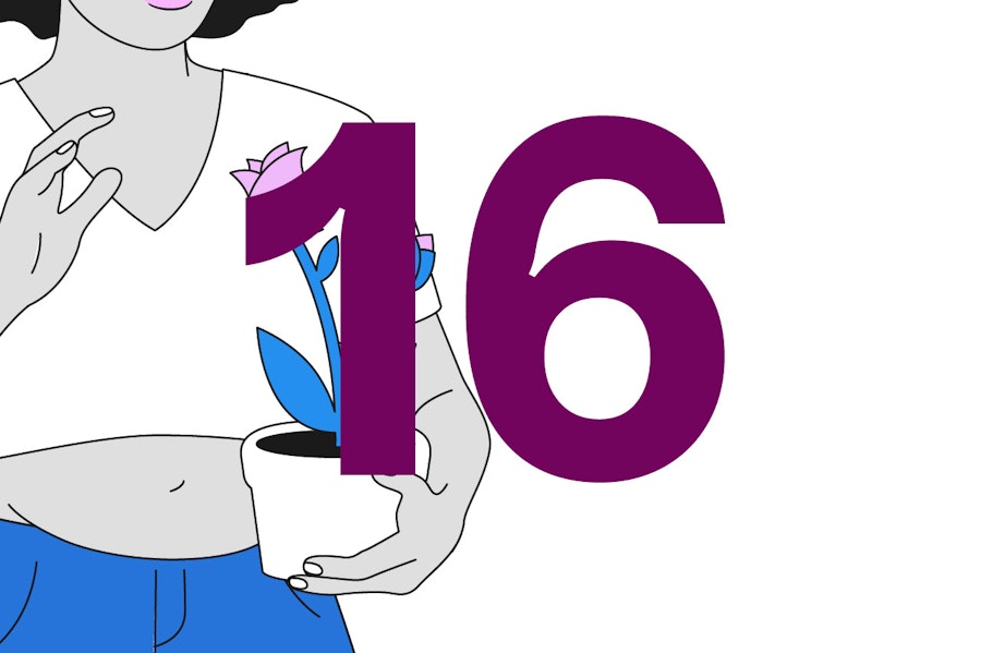Illustration of a pregnant person holding a pot plant next to the number 16