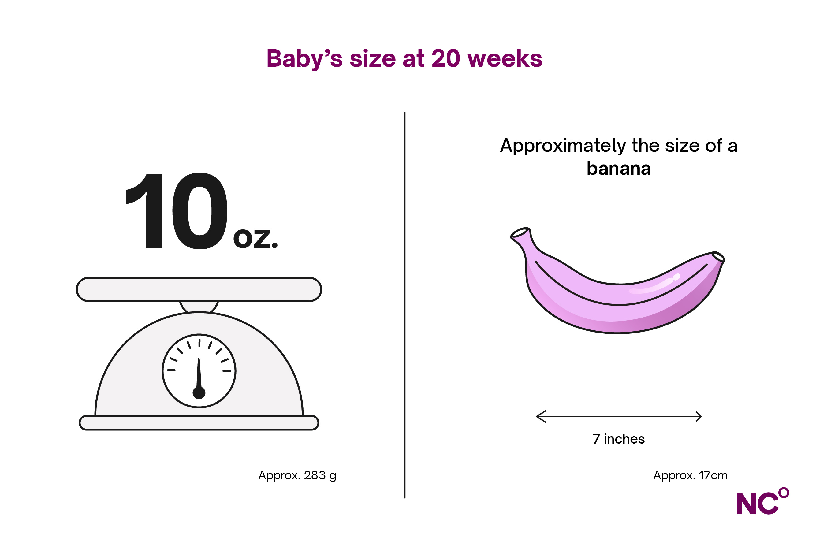 Illustration depicting baby's weight and size at week 20, an illustration of a banana is used for comparison