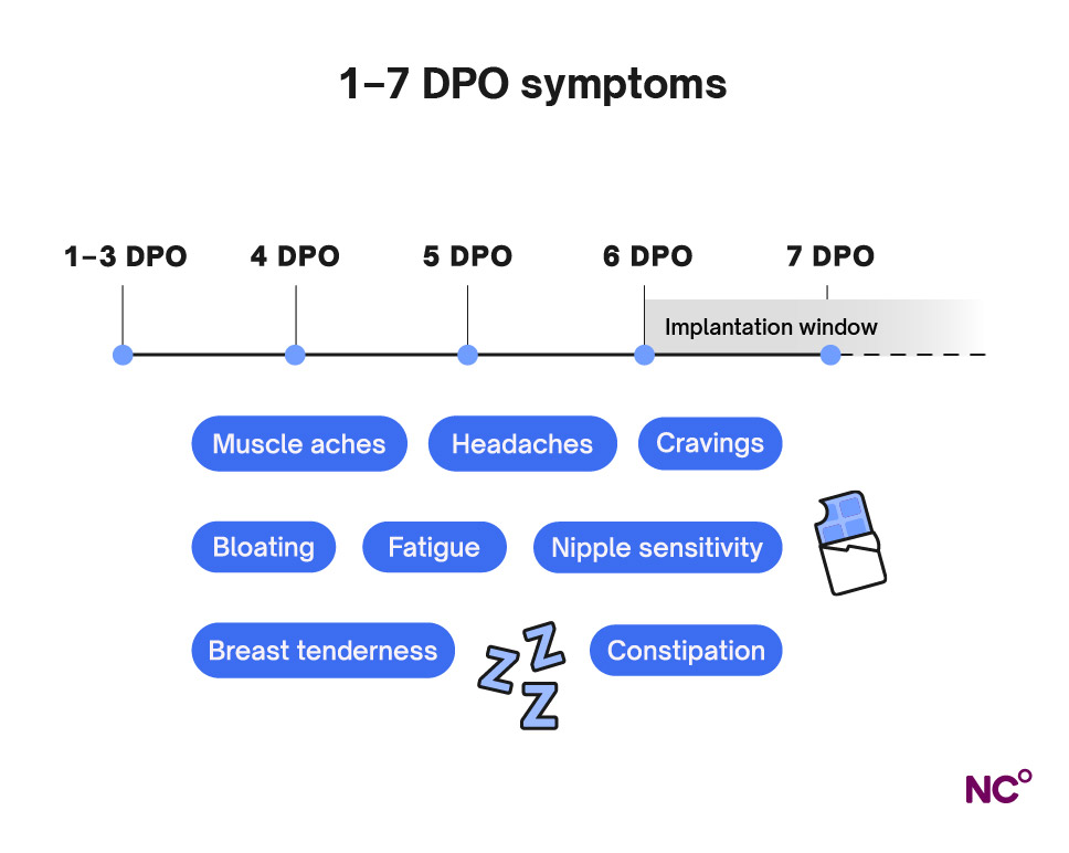 Diagram outlining what happens 1-7 DPO