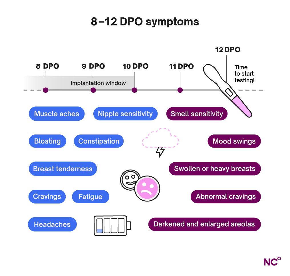 diagram outlining what symptoms to expect days 8-12 DPO