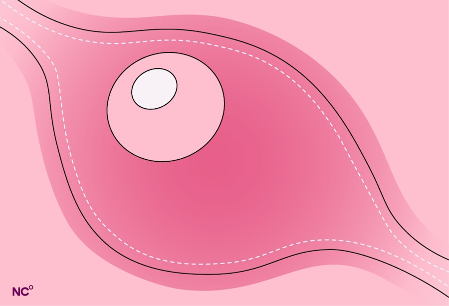 Illustration of an egg moving through the fallopian tube
