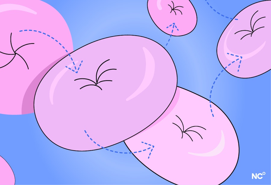 Illusration of cervix