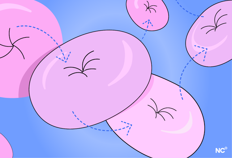 Illusration of cervix