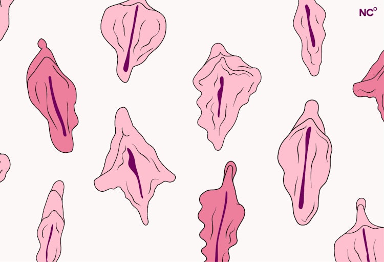 Lábios vaginais