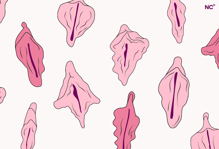Lábios vaginais