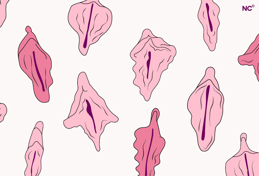 Lábios vaginais