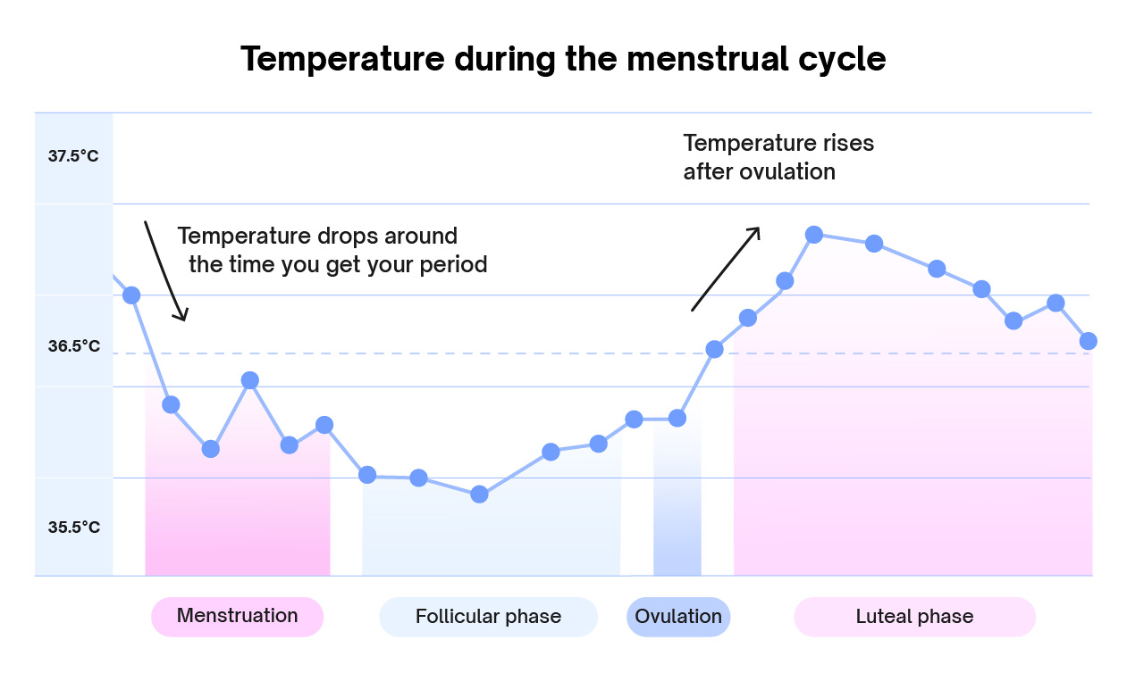 Chart showing how BBT changes throughout the menstrual cycle