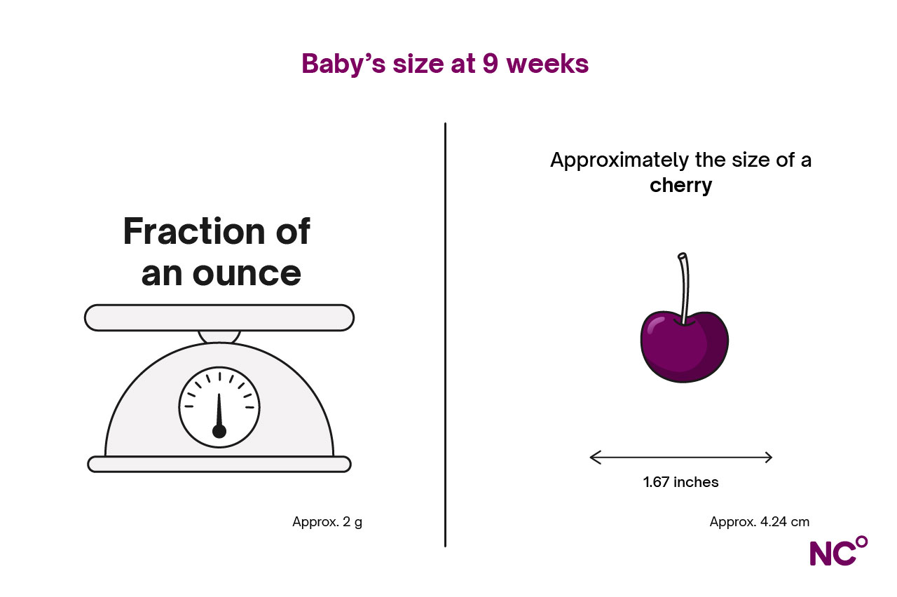 Infographic depicting baby's development at week 9