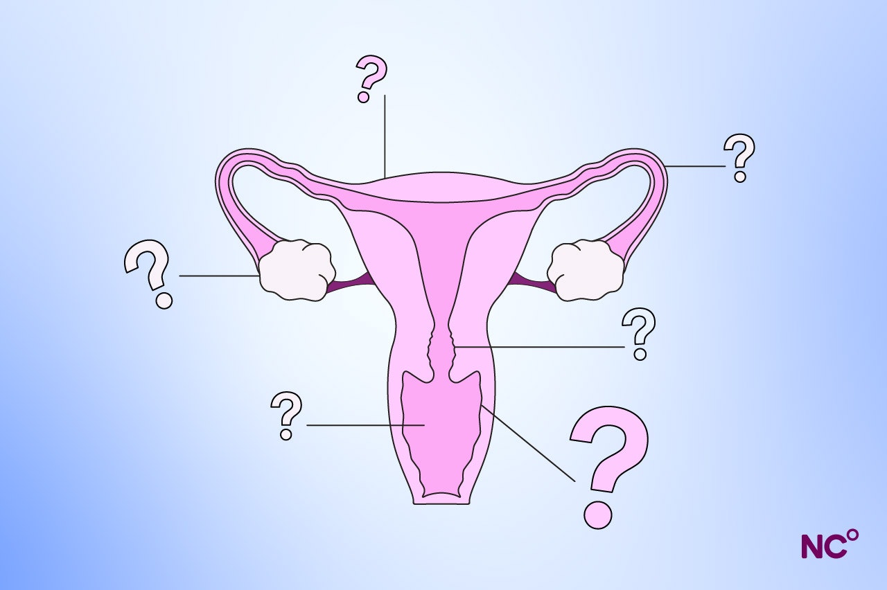 Image of the female repductive organs with arrows pointing out of the different parts with question marks