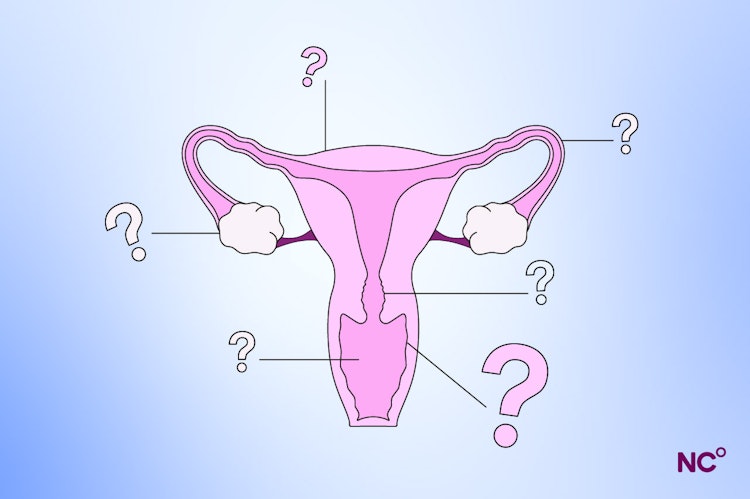 Image of the female repductive organs with arrows pointing out of the different parts with question marks