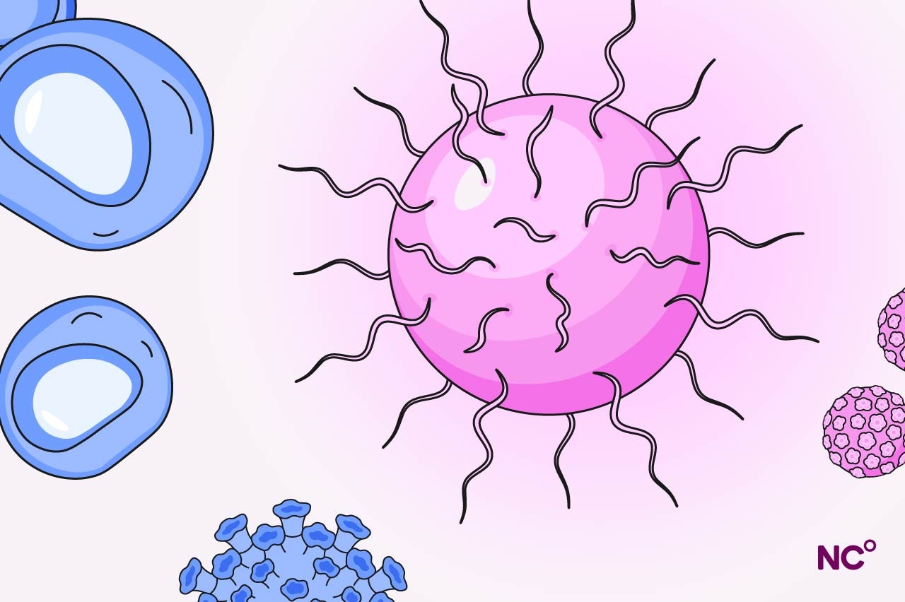 Infographic of viruses and bacteria in pink and blue colors