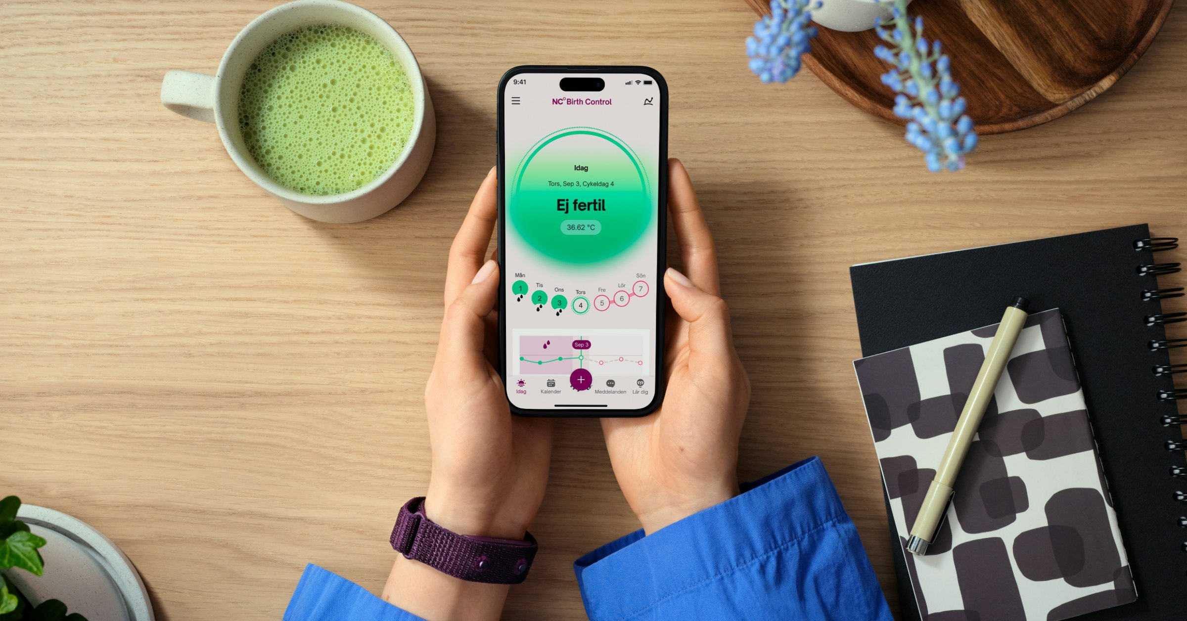 Ej fertile NC° Band SV Ej fertile NC° Band SV