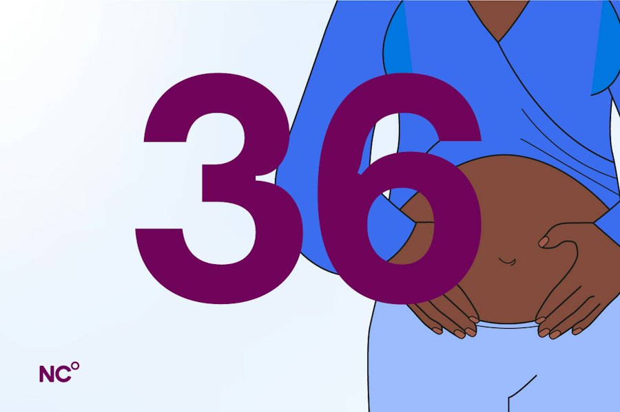 Pregnant woman holding her baby bump next to the number 36