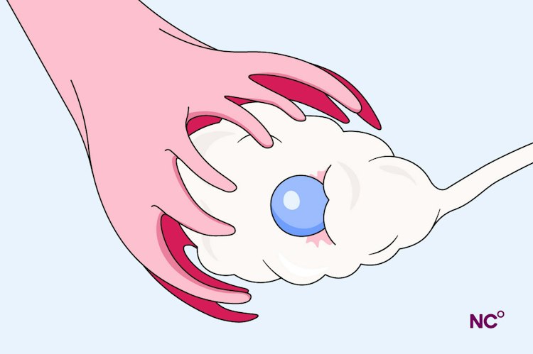 Illustration of the ovaries releasing an egg cell