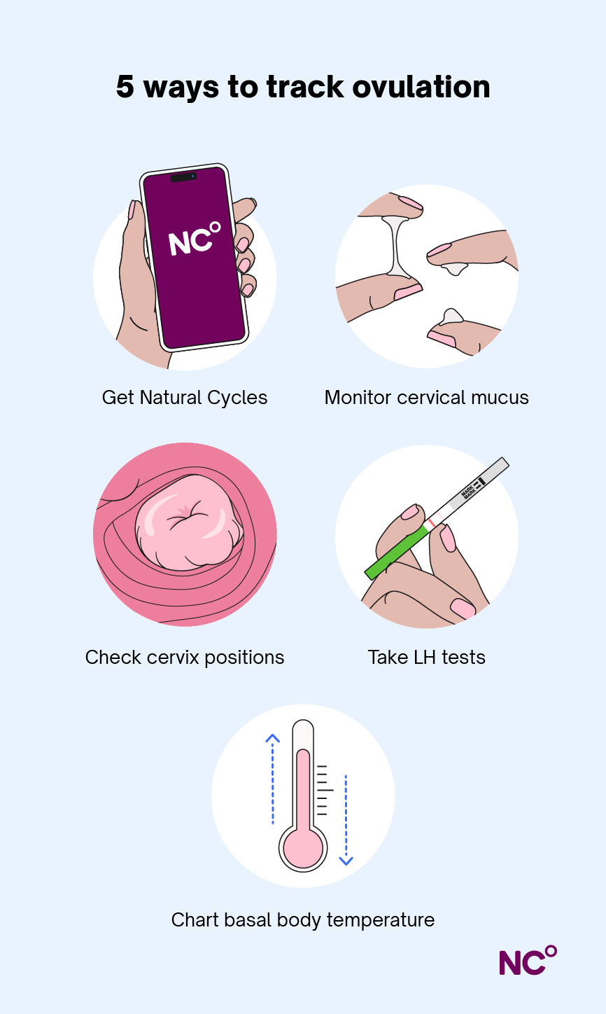 Infographic showing 5 ways to track ovulation including Natural Cycles, ovulation tests and charting BBT