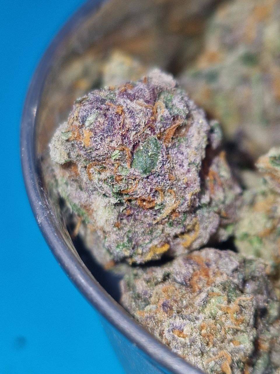Papaya (Cali Spain)