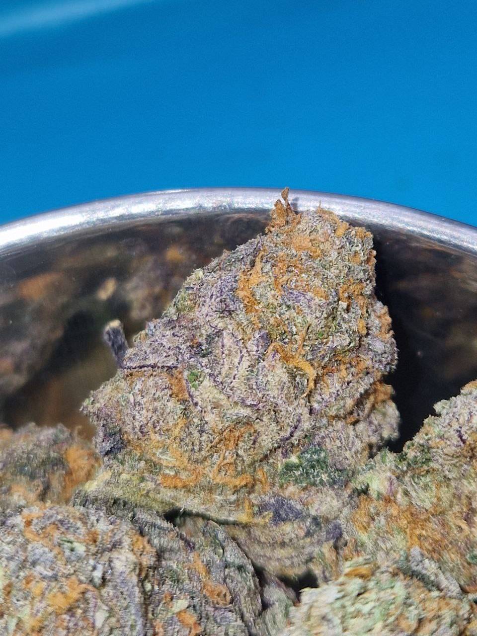 Papaya (Cali Spain)