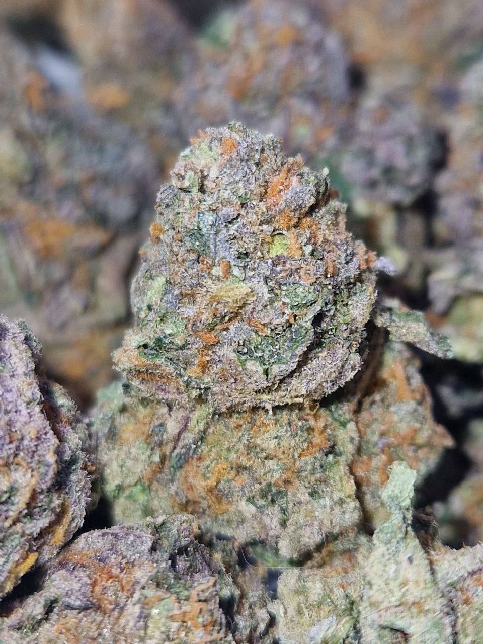 Papaya (Cali Spain)